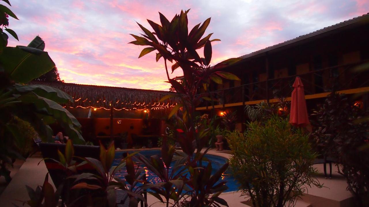 Samara Palm Lodge מראה חיצוני תמונה