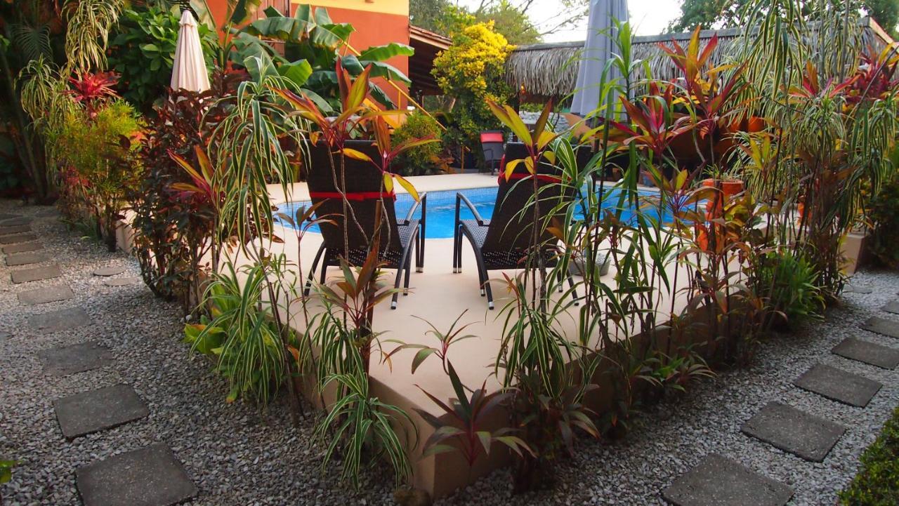 Samara Palm Lodge מראה חיצוני תמונה
