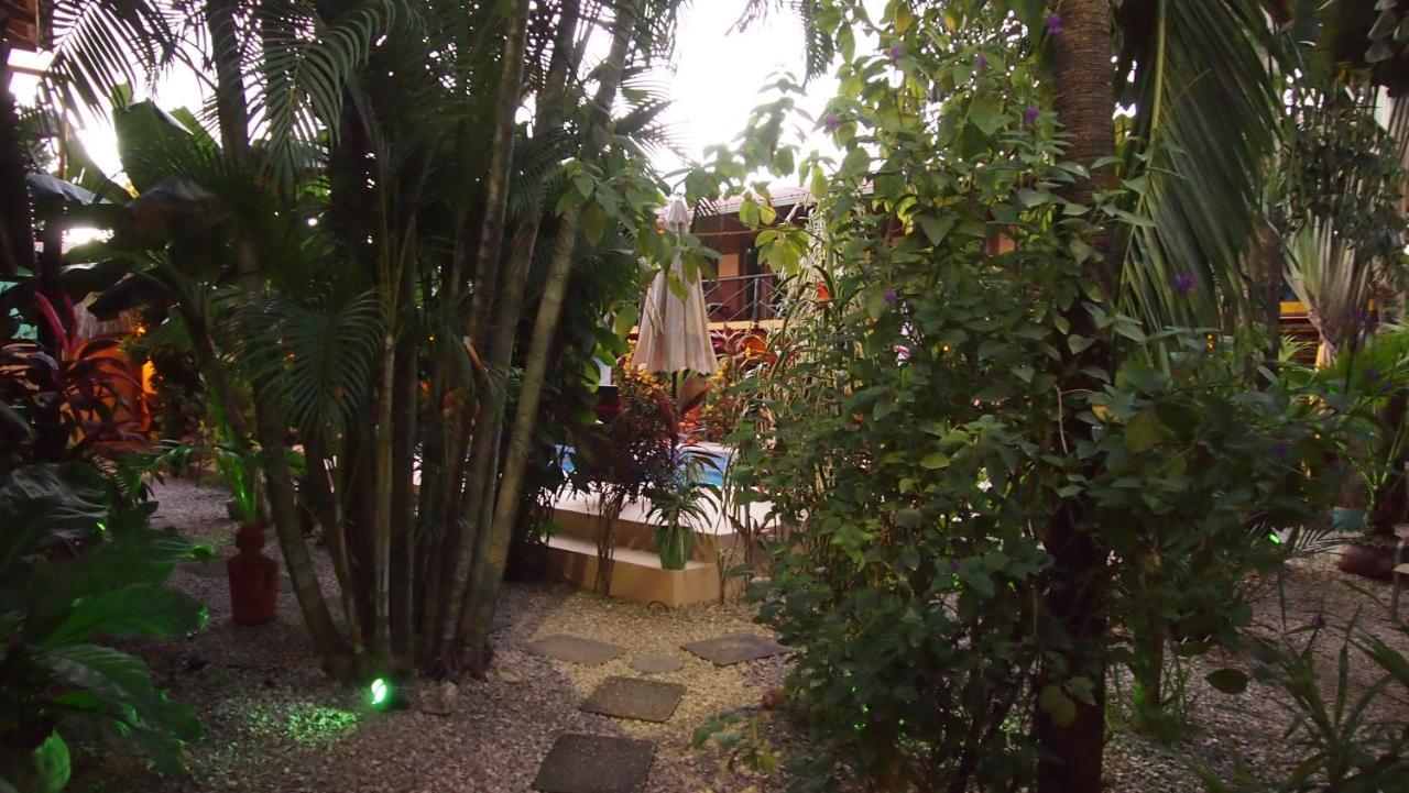 Samara Palm Lodge מראה חיצוני תמונה