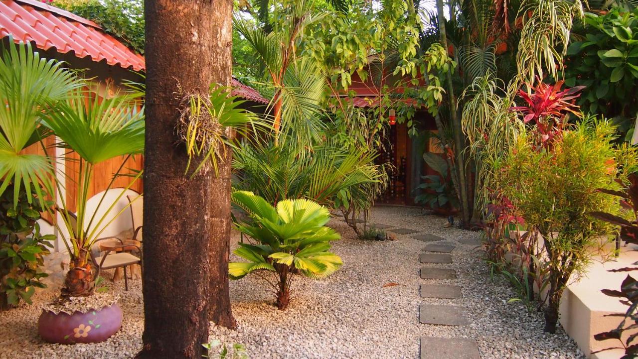 Samara Palm Lodge מראה חיצוני תמונה