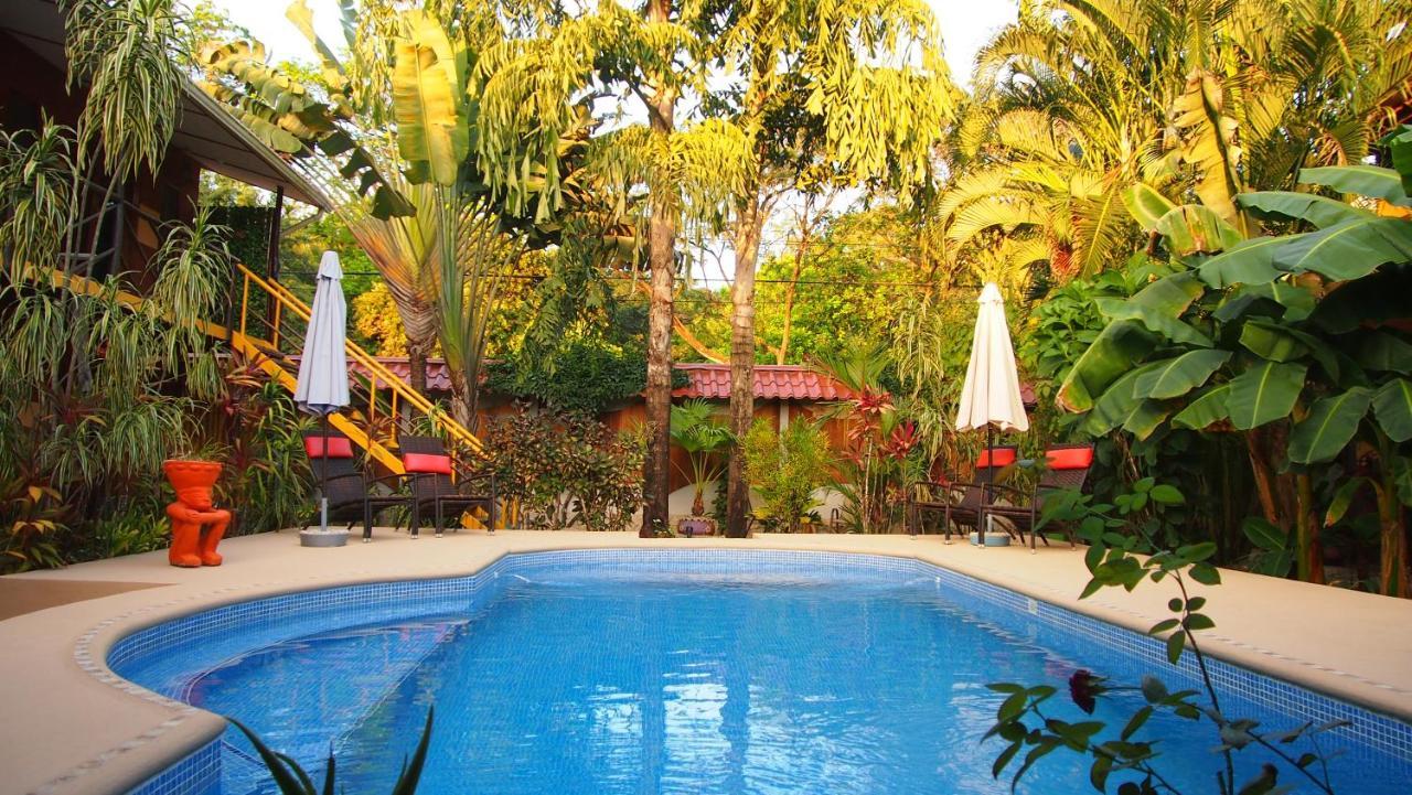 Samara Palm Lodge מראה חיצוני תמונה