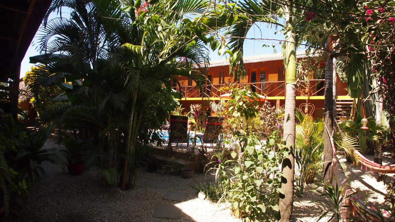 Samara Palm Lodge מראה חיצוני תמונה